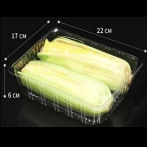 Không có khay sâu 220*170*60 mm Hgf-2217