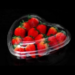 Hộp cardioidnắp trong suốt 185*45 mm